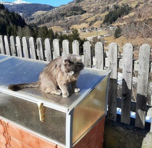 בית מלון כפרי Pension Edlinger