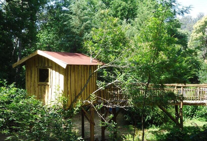 Отель Quinta Da Mata