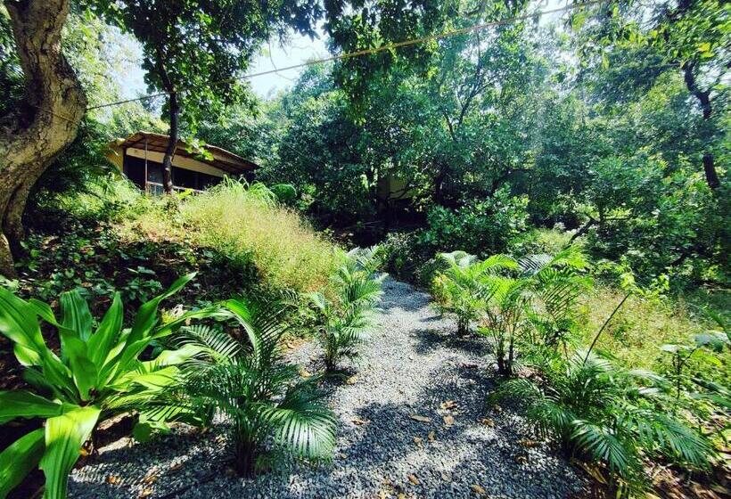 فندق Samyama Retreat