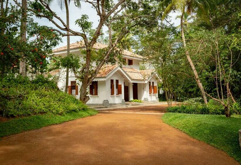 Nyne Hotels   Leela Walauwwa, Induruwa