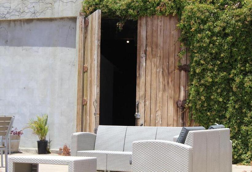 Viñas Del Castillo Hotel Boutique