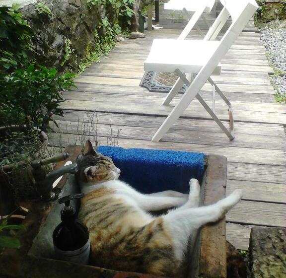 Jiufen Aromatherapy B&b