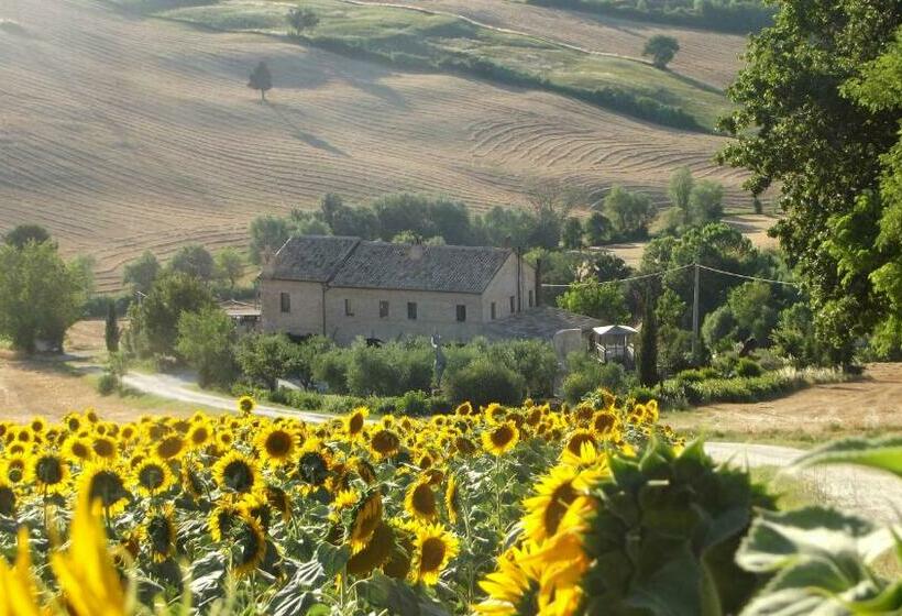 La Casa Degli Ulivi Art B&b