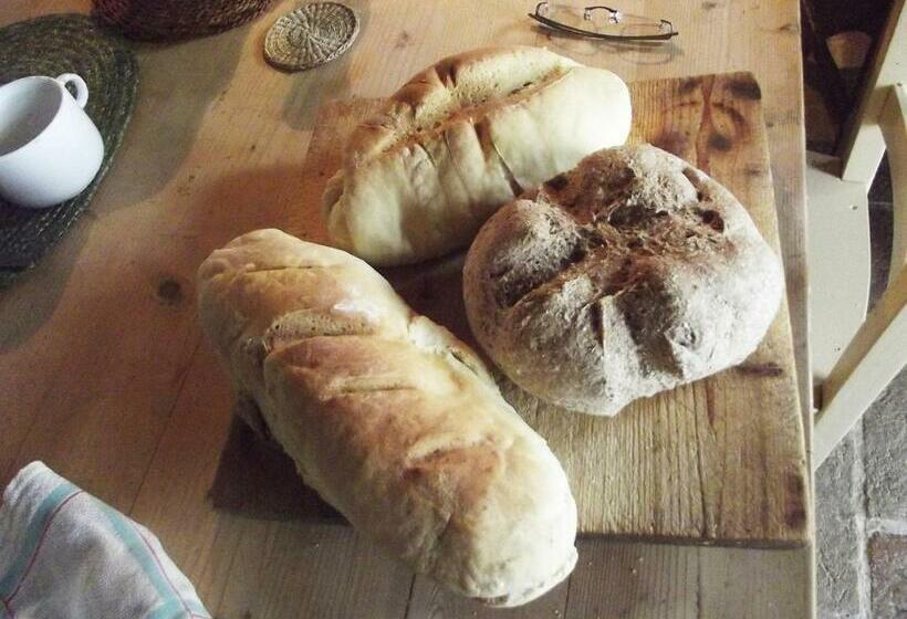 La Casa Degli Ulivi Art B&b