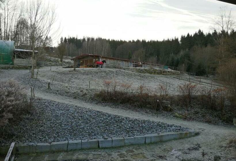 بنسيون Appartmenthaus Kern