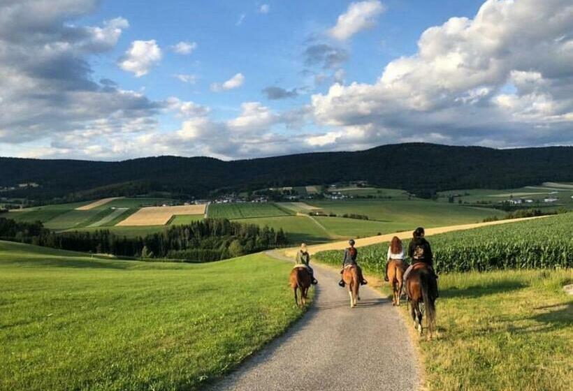 פנסיון Appartmenthaus Kern