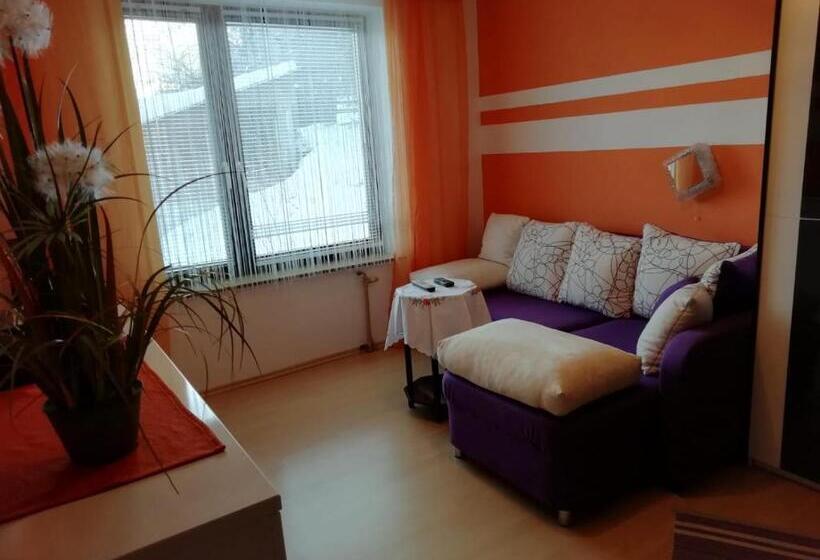 פנסיון Appartmenthaus Kern