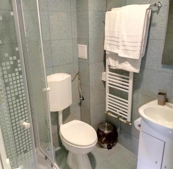 פנסיון Camere De Inchiriat Carpati