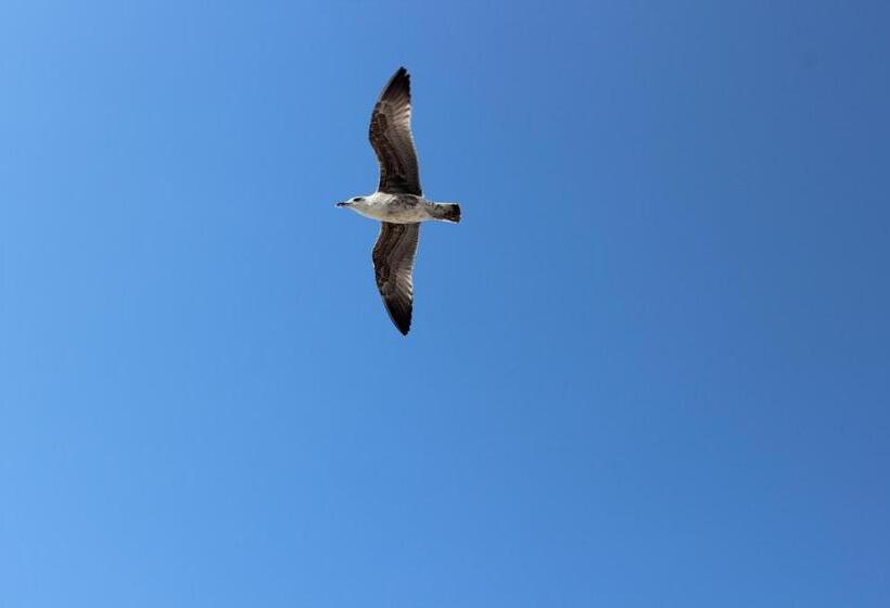 بنسيون Casa Da Avó Lurdes