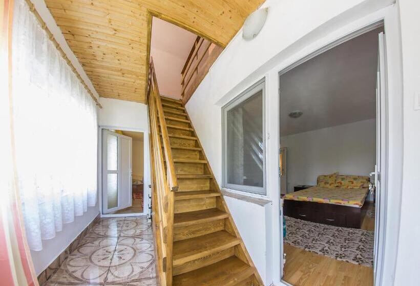 Пансион Casa De Vacanta Jeny