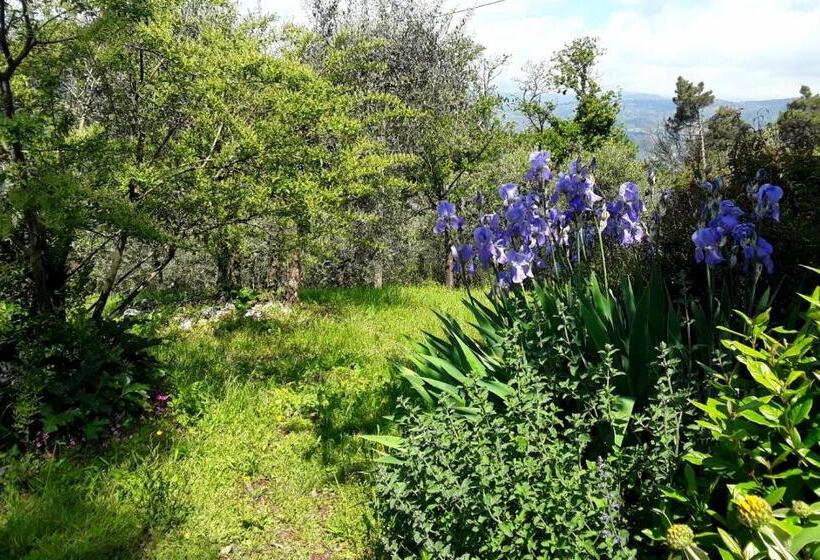 پانسیون La Casa Del Maestro