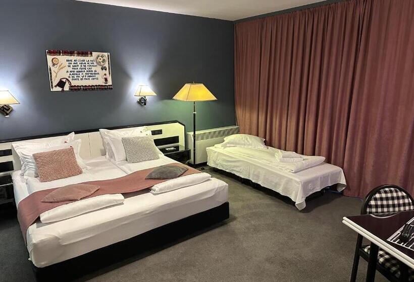 Пансион La Conacul Vesel