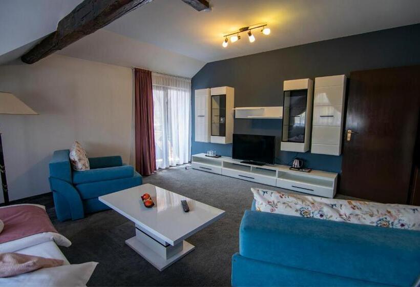 Пансион La Conacul Vesel