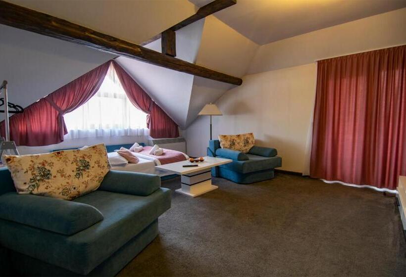 Пансион La Conacul Vesel