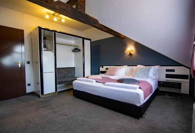 Пансион La Conacul Vesel