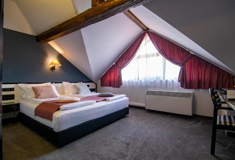 Пансион La Conacul Vesel