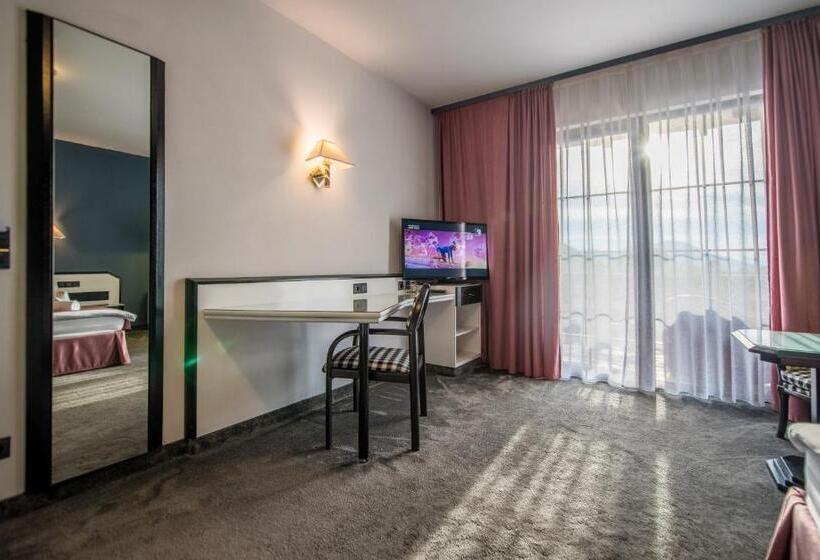 Пансион La Conacul Vesel