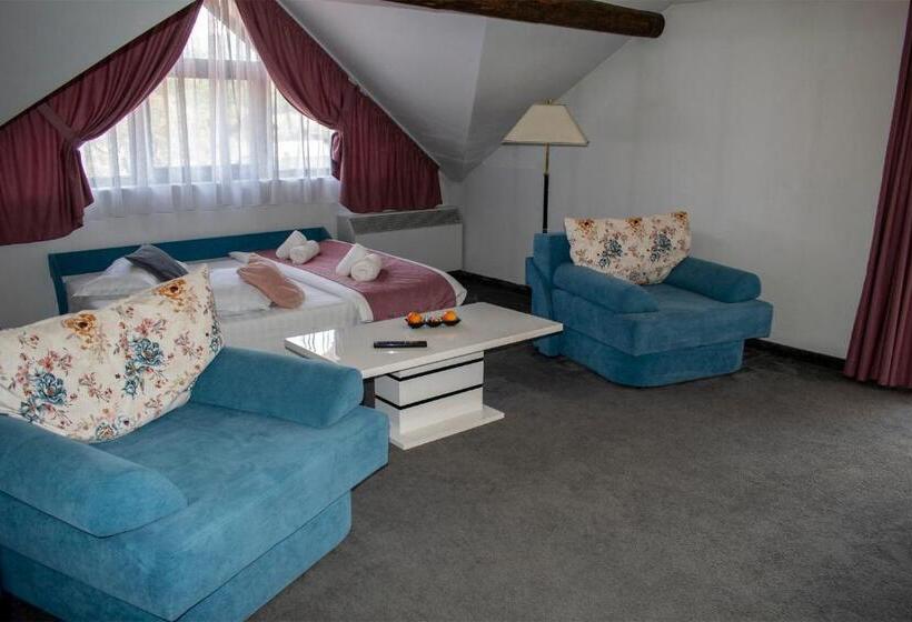 Пансион La Conacul Vesel