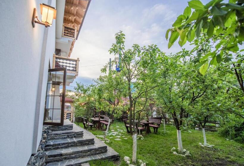 Пансион La Conacul Vesel