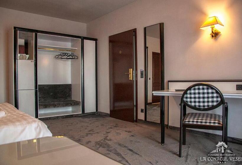 Пансион La Conacul Vesel