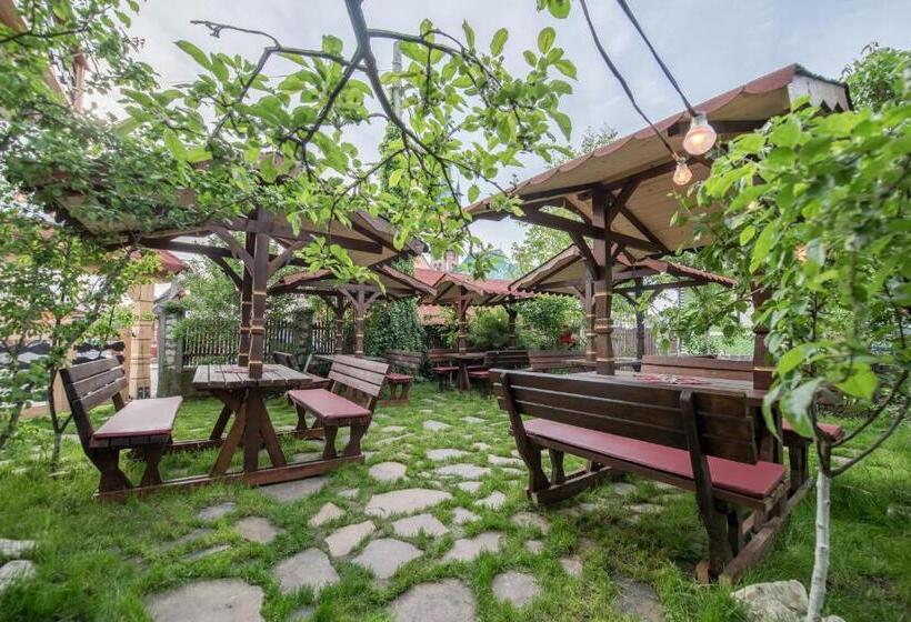 Пансион La Conacul Vesel