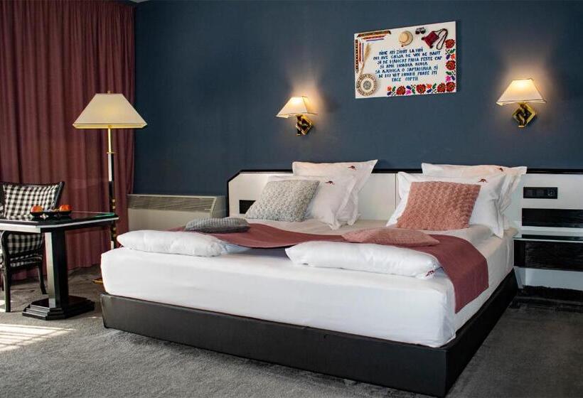 Пансион La Conacul Vesel