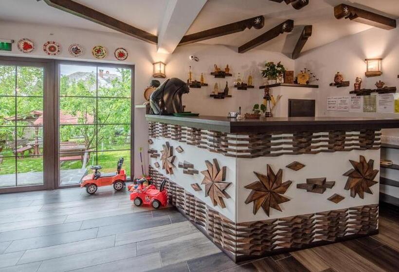 Пансион La Conacul Vesel