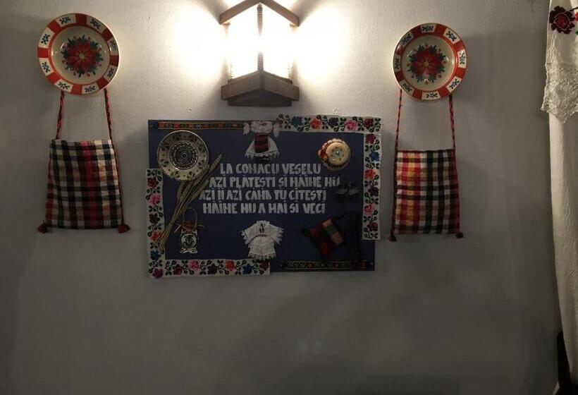 Пансион La Conacul Vesel