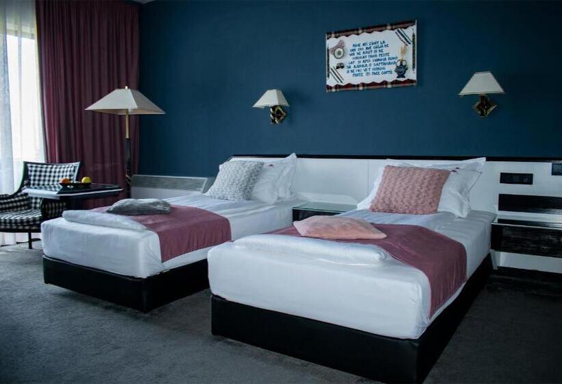 Пансион La Conacul Vesel