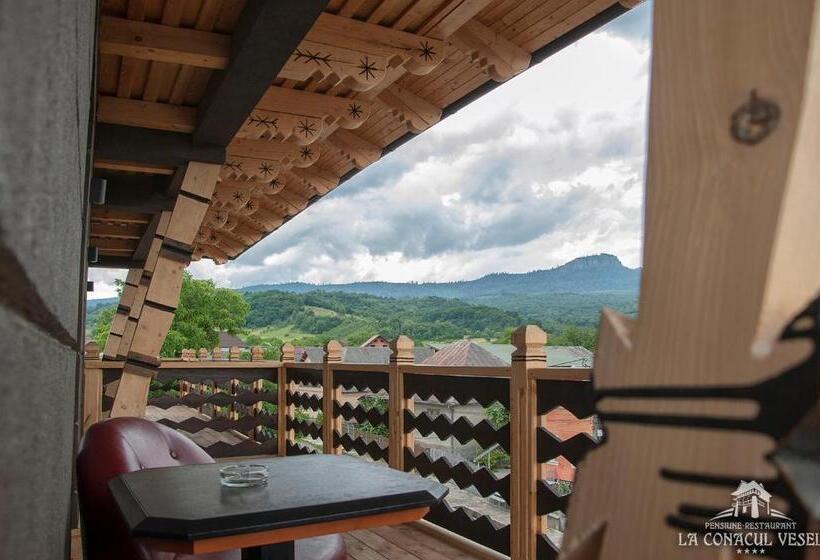 Пансион La Conacul Vesel