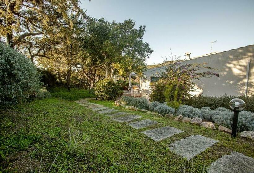 膳宿费 Mimma Del Mar