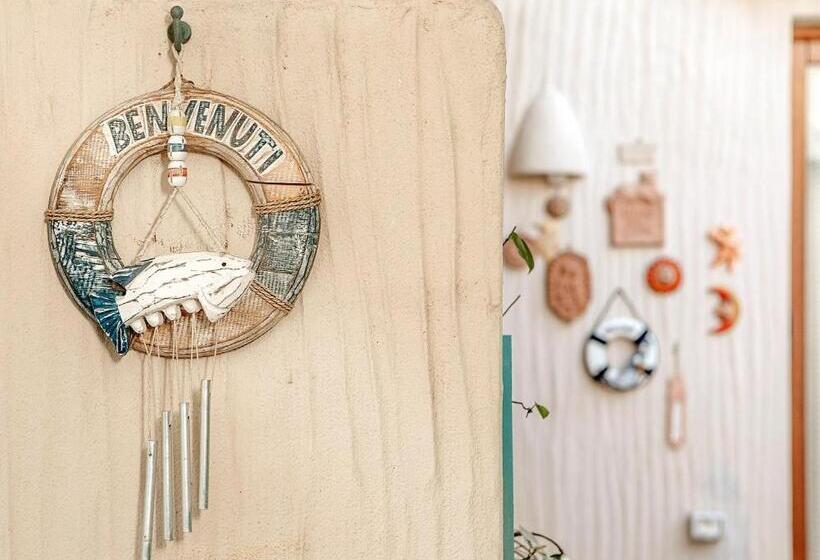 膳宿费 Mimma Del Mar