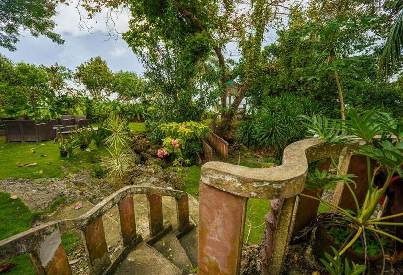 بنسيون Weyh S Studio #1 By The Ocean 100mbps