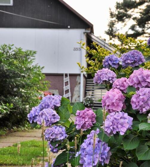 펜션 Penzion Wanda