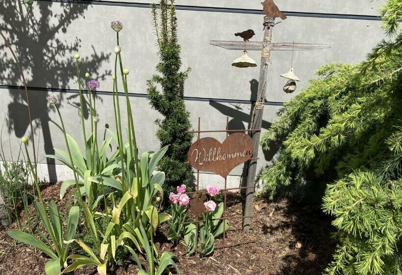 بنسيون Zani Helga