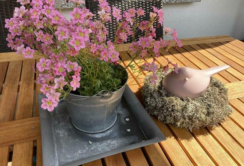 بنسيون Zani Helga