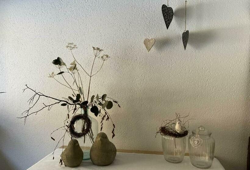 بنسيون Zani Helga