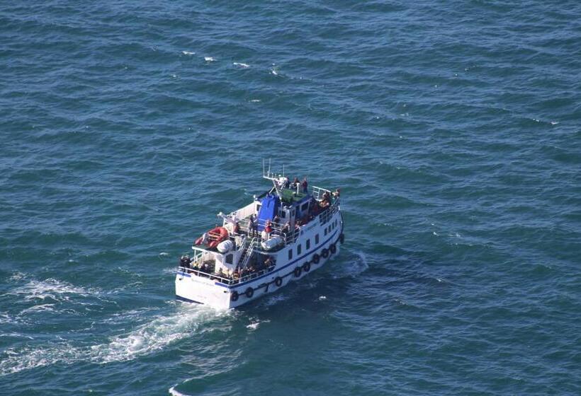 Slaney House Bed And Breakfast