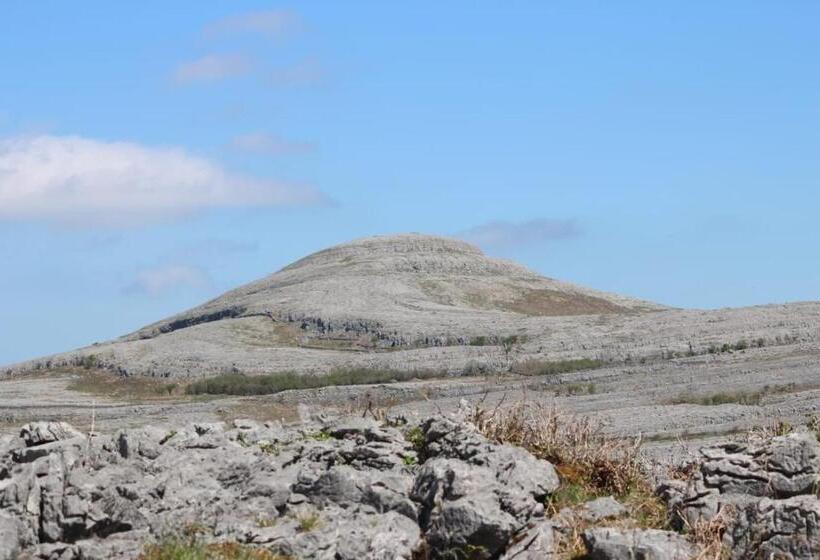 Slaney House Bed And Breakfast