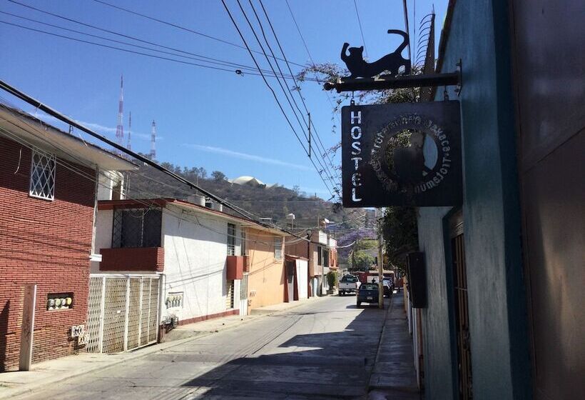 Trotamundo Oaxaca Hostel