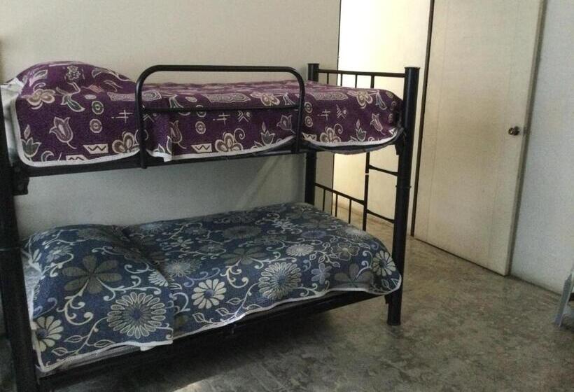 Trotamundo Oaxaca Hostel