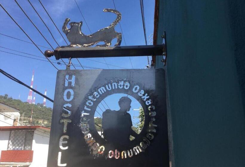 Trotamundo Oaxaca Hostel