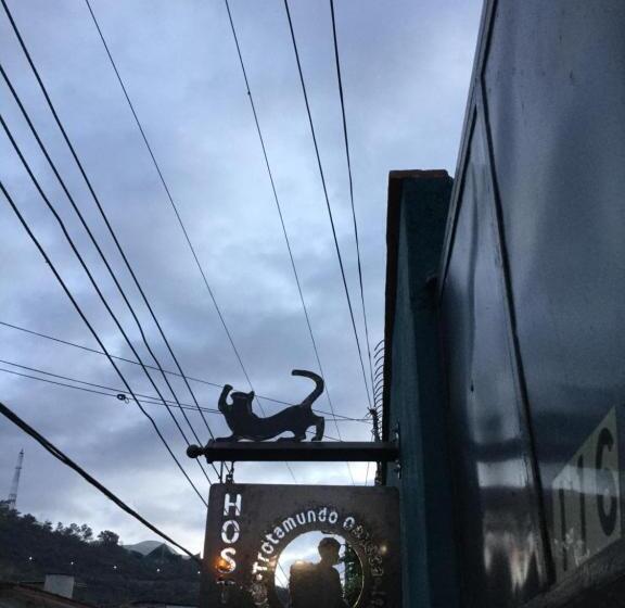 Trotamundo Oaxaca Hostel