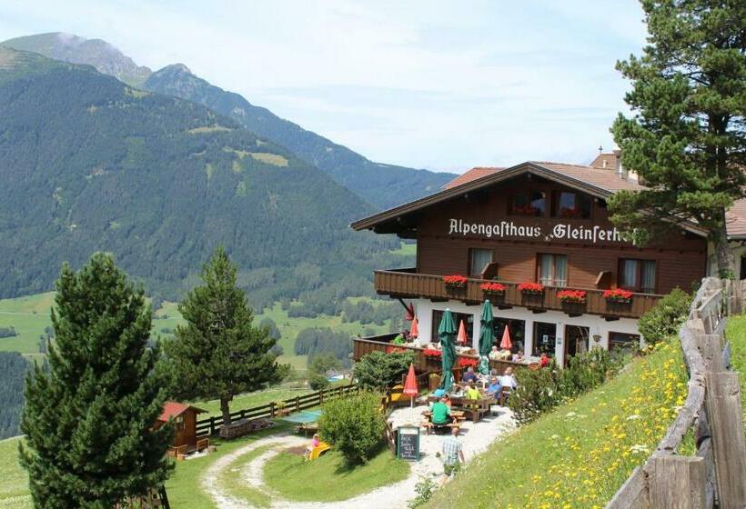 旅馆 Alpengasthaus Gleinserhof