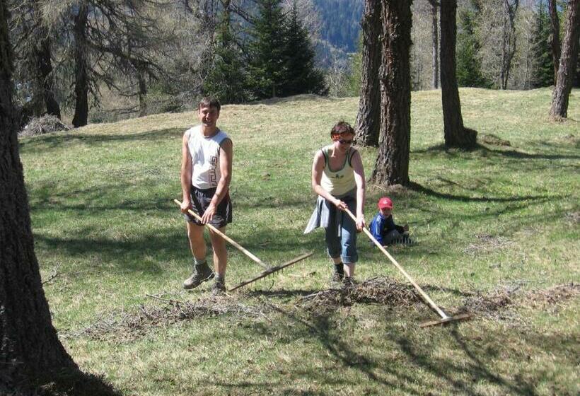 旅馆 Alpengasthaus Gleinserhof