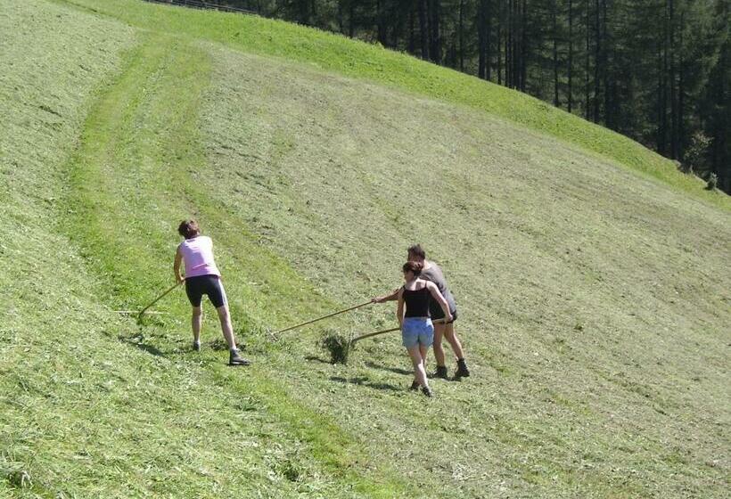 旅馆 Alpengasthaus Gleinserhof