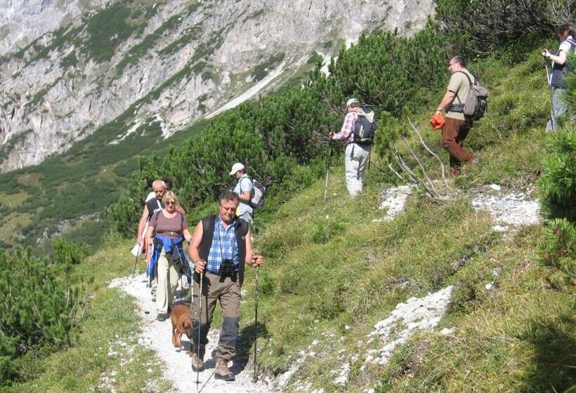 旅馆 Alpengasthaus Gleinserhof