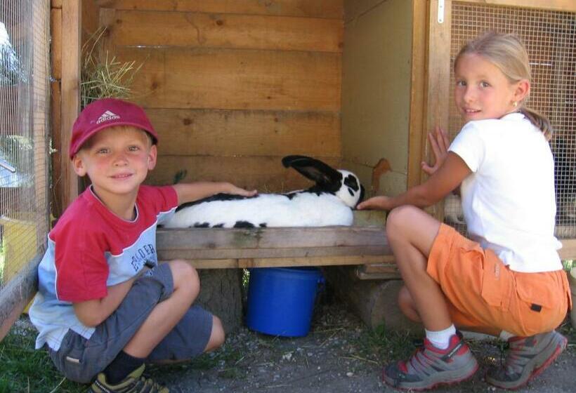 旅馆 Alpengasthaus Gleinserhof