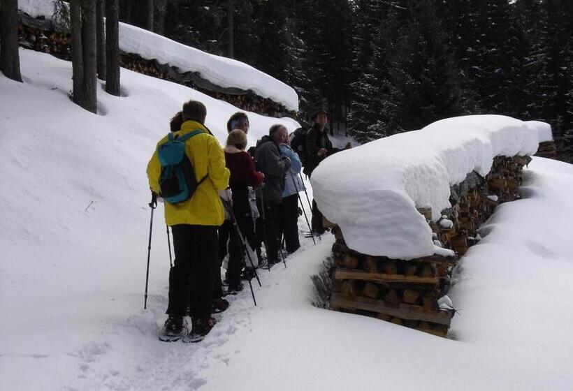 旅馆 Alpengasthaus Gleinserhof
