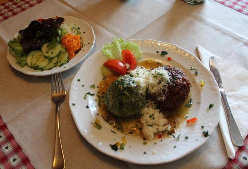 旅馆 Alpengasthaus Gleinserhof